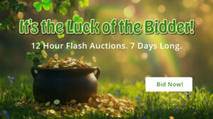 Luck of the Bidder