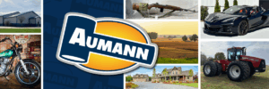 Home for Auction