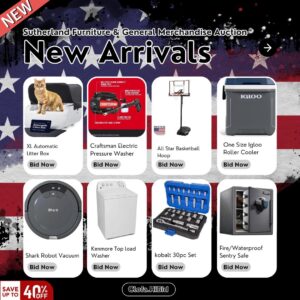 Auction Preview