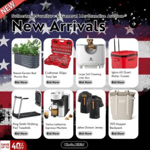 General Merchandise Auction
