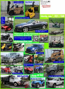 Auction Item