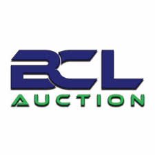 Auction Item 1