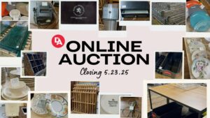 Dishware Auction Image
