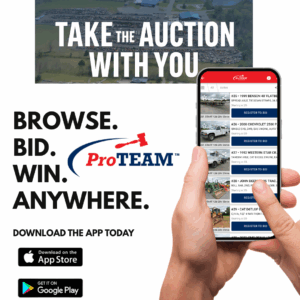 Auction Items Preview