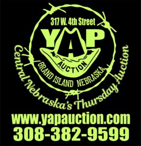 YAP Auction 16