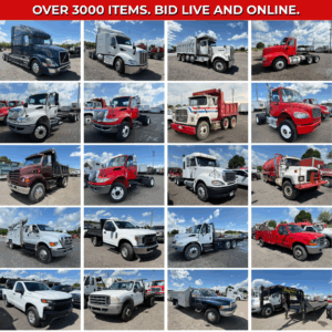 Auction Items Preview