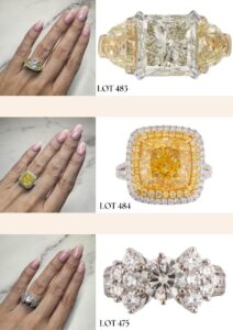 Premier Collections Auction Image 3