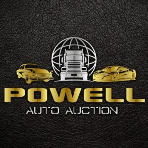 Public Auto Auction