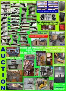 Auction Item
