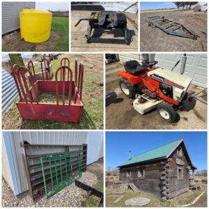 Auction Image 3