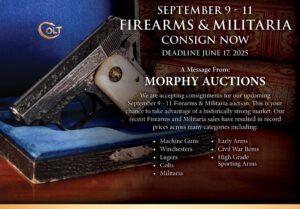 Firearm Lot 3