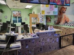 Pet Groomers & Daycare Liquidation