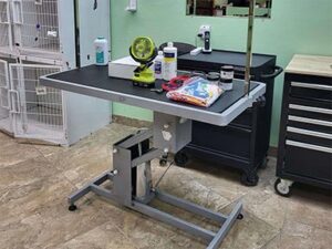 Pet Groomers & Daycare Liquidation