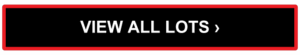View All Lots