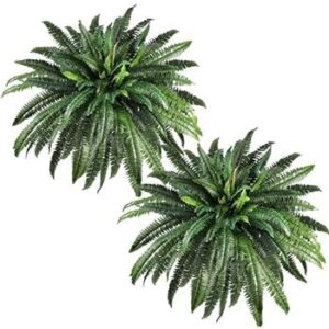 Artificial Ferns