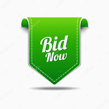 New Tools Auction Item