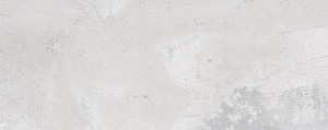 Auction Banner