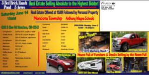 More Auction Items