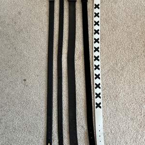 Auction Item 4