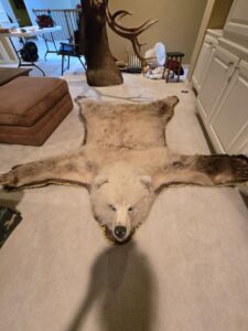 Auction Item