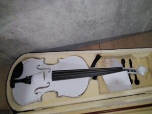 Mendini Viola