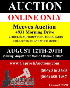 Auction Image