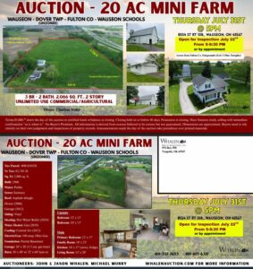 Auction Item