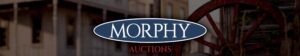 Sample Auction Image 1