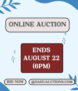 Ophthalmology Equipment Auction Preview