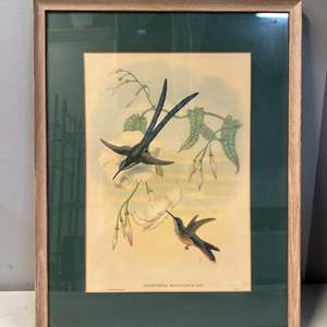 Thumbnail Image for Auction