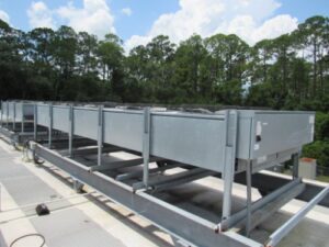 Winn Dixie Supermarket Auction