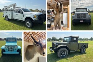 Vehicles, Taxidermy, Musical Instruments Auction