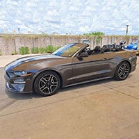 2019 Ford Mustang Eco Premium