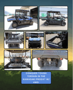 Auction Image 3