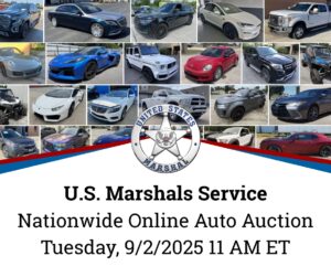 Auction Preview