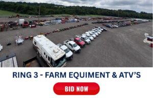 Lot 6