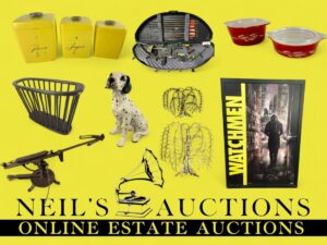 Vinyl Records Auction Image