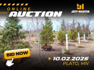 Auction Items 3