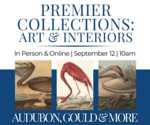 Gould Collection Image