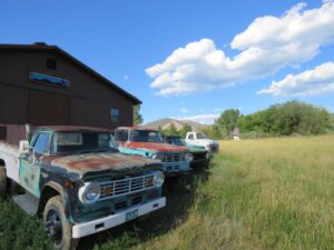 Dodge Truck Auction 2