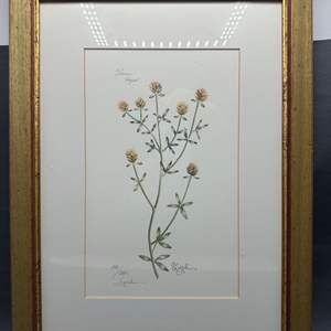 Thumbnail Image for Auction