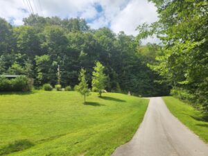 Buildable Lots