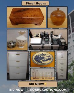 Oahu Auctions Image 10