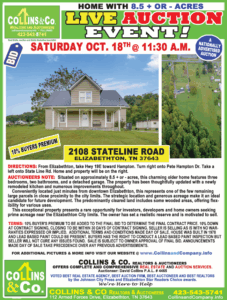Auction Property