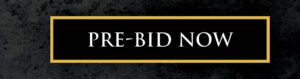 Auction Item