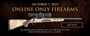 Auction Item