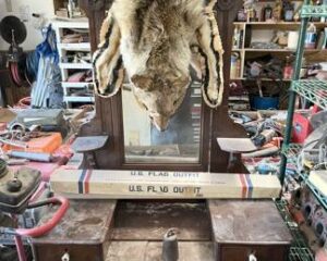 Interior Decor Items