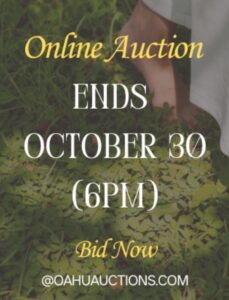 Oahu Auctions Image 11