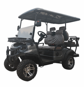 2025 SDLanch SDLGC80 Electric Golf Cart